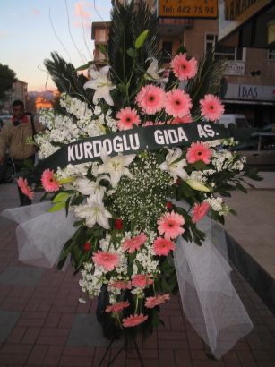 kazablanka,gerbera,sebboy ferforje  Ankara ieki maazas 